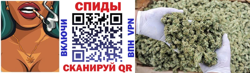 Купить  Починок  Бутират 99% 