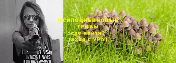 дмт Аркадак