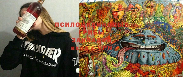 дмт Аркадак