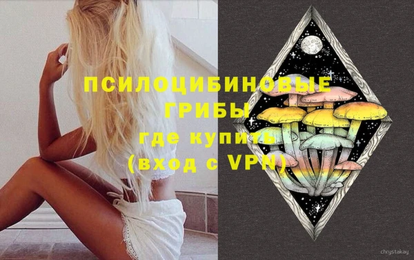 дмт Аркадак