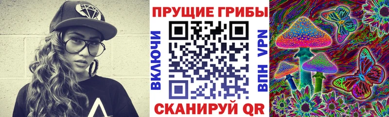 Галлюциногенные грибы Psilocybe  Купить где  Починок 